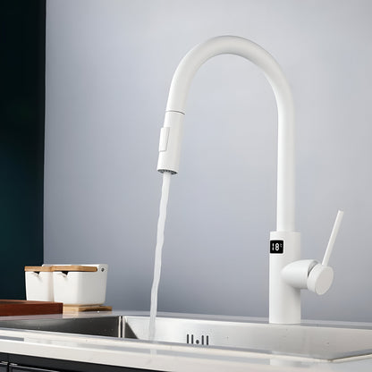 Nexa Pro Touchless Smart Kitchen Faucet