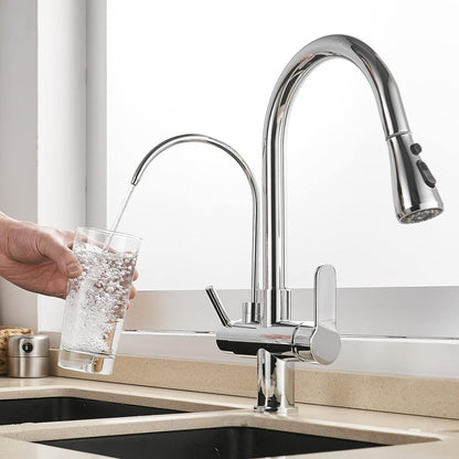 Vera 3-Way Filter Kitchen Faucet with Pull-Down Sprayer