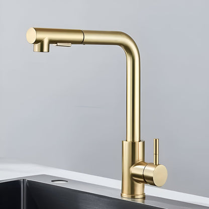 Noir Modern Matte Black Pull-Out Kitchen Faucet