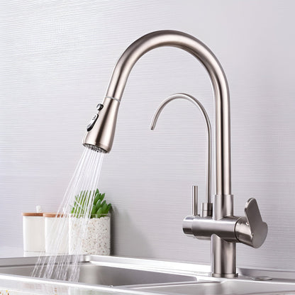 Vera 3-Way Filter Kitchen Faucet with Pull-Down Sprayer