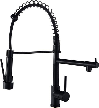 Rowan Professional Pull-Down Kitchen Faucet