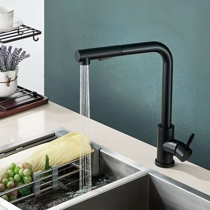 Noir Modern Matte Black Pull-Out Kitchen Faucet