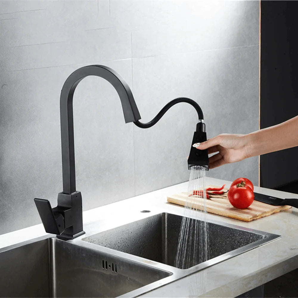 Luma Pull-Out Kitchen Faucet with Dual-Function Sprayer