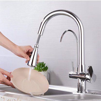 Vera 3-Way Filter Kitchen Faucet with Pull-Down Sprayer