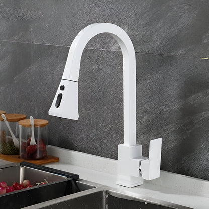 Luma Pull-Out Kitchen Faucet with Dual-Function Sprayer