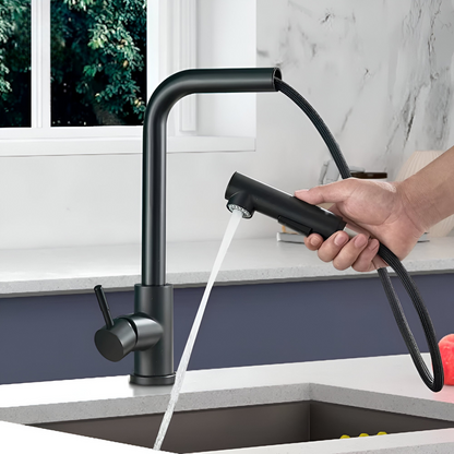Noir Modern Matte Black Pull-Out Kitchen Faucet