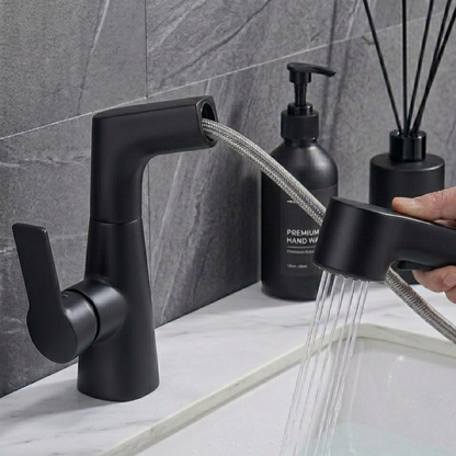 Astra Pull-Out Lift Faucet 360° Rotatable Stainless Steel Sink Mixer