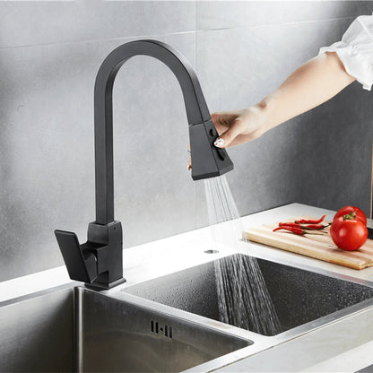 Luma Pull-Out Kitchen Faucet with Dual-Function Sprayer
