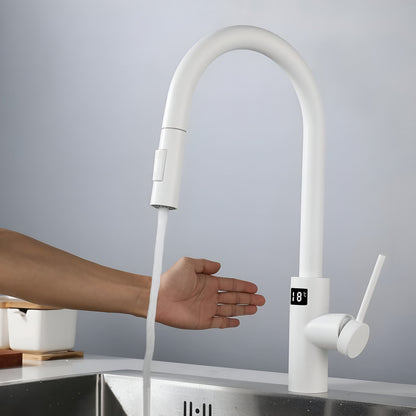 Nexa Pro Touchless Smart Kitchen Faucet