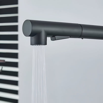 Noir Modern Matte Black Pull-Out Kitchen Faucet