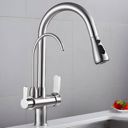 Vera 3-Way Filter Kitchen Faucet with Pull-Down Sprayer