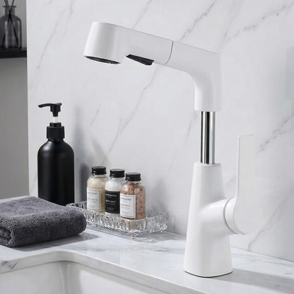 Astra Pull-Out Lift Faucet 360° Rotatable Stainless Steel Sink Mixer