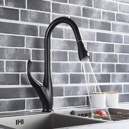 Hartwell Victorian Style Pull-Out Kitchen Faucet