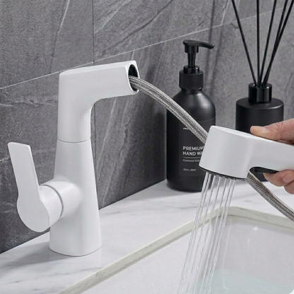 Astra Pull-Out Lift Faucet 360° Rotatable Stainless Steel Sink Mixer