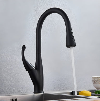 Hartwell Victorian Style Pull-Out Kitchen Faucet