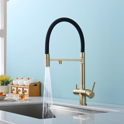 Nola Three-Way Kitchen Faucet with Filter Tap Reverse Osmosis Compatible and Pull-Down Spout