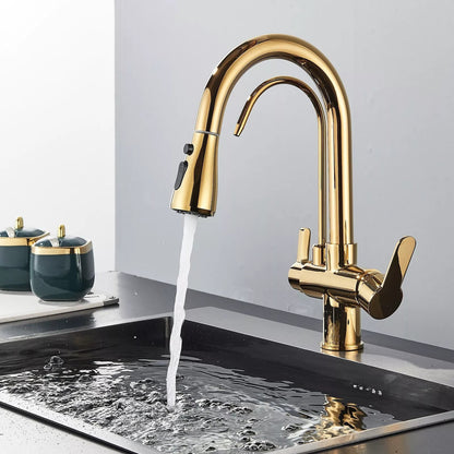 Vera 3-Way Filter Kitchen Faucet with Pull-Down Sprayer