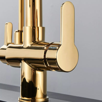 Vera 3-Way Filter Kitchen Faucet with Pull-Down Sprayer