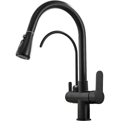 Vera 3-Way Filter Kitchen Faucet with Pull-Down Sprayer