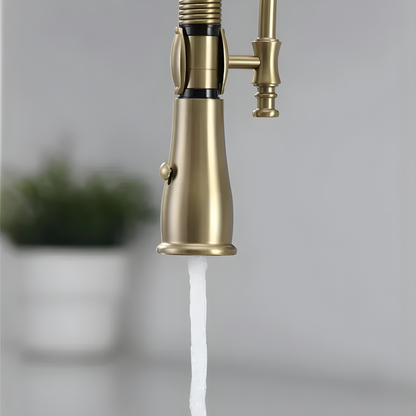 Noro 360° Pull-Down Faucet with Multi-Function Spring Spout Mixer