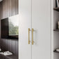Gold Curved Cabinet Handles, Zinc Alloy T-Bar Pulls