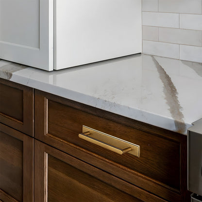 Gold Long Cabinet Pulls with Rectangular Backplate