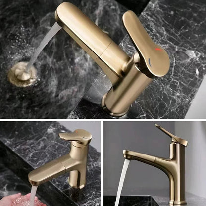 Wexler Single Handle Pull-Out Bathroom Sink Faucet with Hot and Cold Control