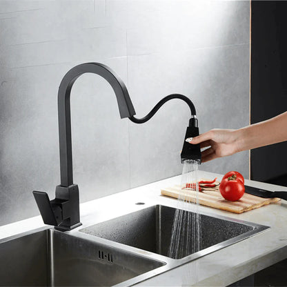 Luma Pull-Out Kitchen Faucet with Dual-Function Sprayer