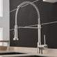 Bravik Single Hole Pre-Rinse Pull-Down Sprayer Spring Spout Kitchen Faucet