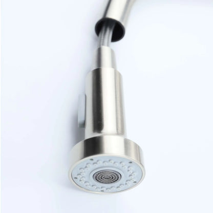 Bravik Single Hole Pre-Rinse Pull-Down Sprayer Spring Spout Kitchen Faucet
