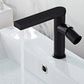 Single Lever 360° Swivel Spout Bathroom Sink Faucets
