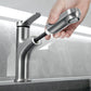 Single Handle Hot and Cold Bathroom Faucets with Pull Out Spray