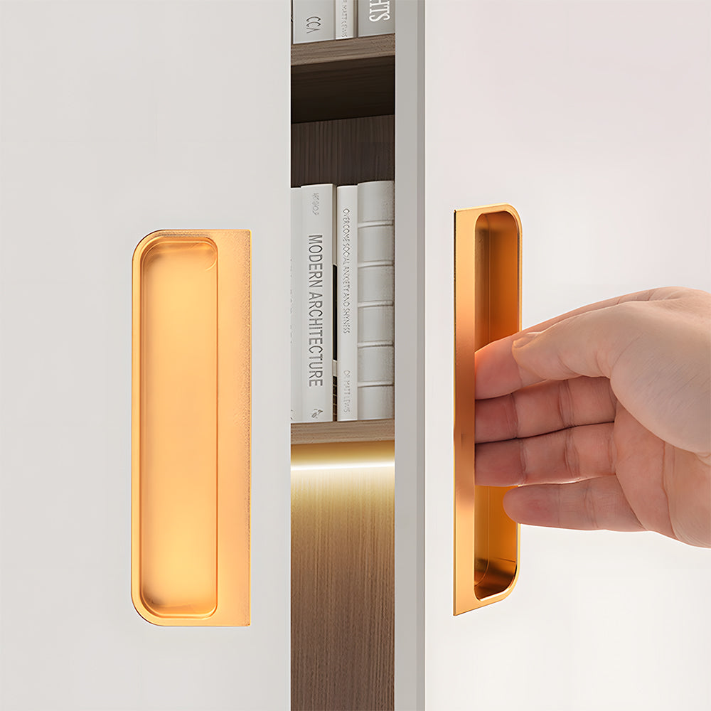 Rectangular Recessed Pulls for Sliding Closet Doors