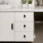 Two-Tone Cabinet Pull Handles and Matching Knobs