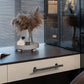 Shiny Modern Zinc Alloy Titanium Gold Black Door Pulls