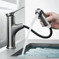 Single Handle Hot and Cold Bathroom Faucets with Pull Out Spray