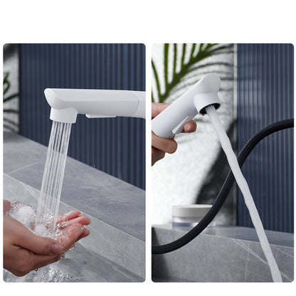 Bravik Modern Single-Hole Pull-Out Bathroom Sink Faucet with Swivel Spout