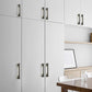 Two-Tone Cabinet Pulls and Knobs for Kitchen Cabinets