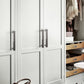 Mixed-Finish Zinc Alloy Cabinet Pulls and Knobs