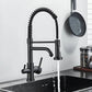 Aqualis 3-Way Pull-Down Kitchen Faucet with Filter Tap