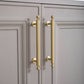 Antique Bronze Brass Cabinet Pulls
