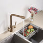 Aquiro 3-Way Kitchen Faucet with Filter Tap, RO Compatible