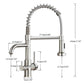 Aqualis 3-Way Pull-Down Kitchen Faucet with Filter Tap