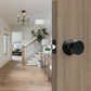 Passage Door Knobs for Hallway and Living Room Doors