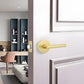 Gold and Black Interior Door Lever Handles for Bedroom and Hallway Doors