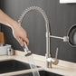 Bravik Single Hole Pre-Rinse Pull-Down Sprayer Spring Spout Kitchen Faucet