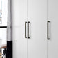 Modern Zinc Alloy Cabinet Handle for Kitchen