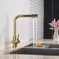 Aquiro 3-Way Kitchen Faucet with Filter Tap, RO Compatible