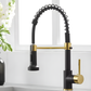 Bravik Single Hole Pre-Rinse Pull-Down Sprayer Spring Spout Kitchen Faucet
