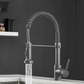 Bravik Single Hole Pre-Rinse Pull-Down Sprayer Spring Spout Kitchen Faucet